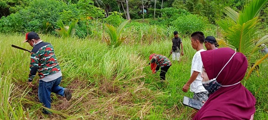 LMP Mada Provinsi Bengkulu Manfaatkan Lahan Kosong Untuk Usaha Anggota